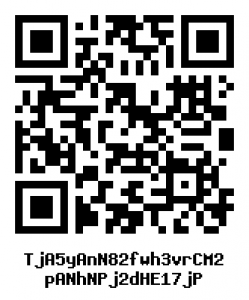 TOPCOIN